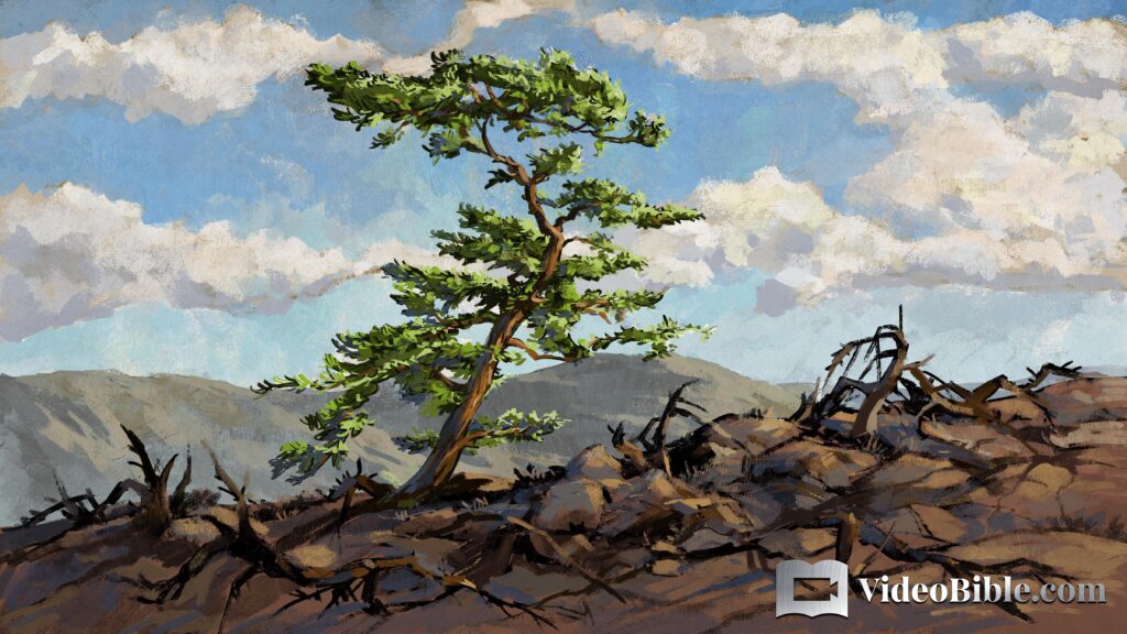 A biblical tree flourishing in the wilderness with Israelites